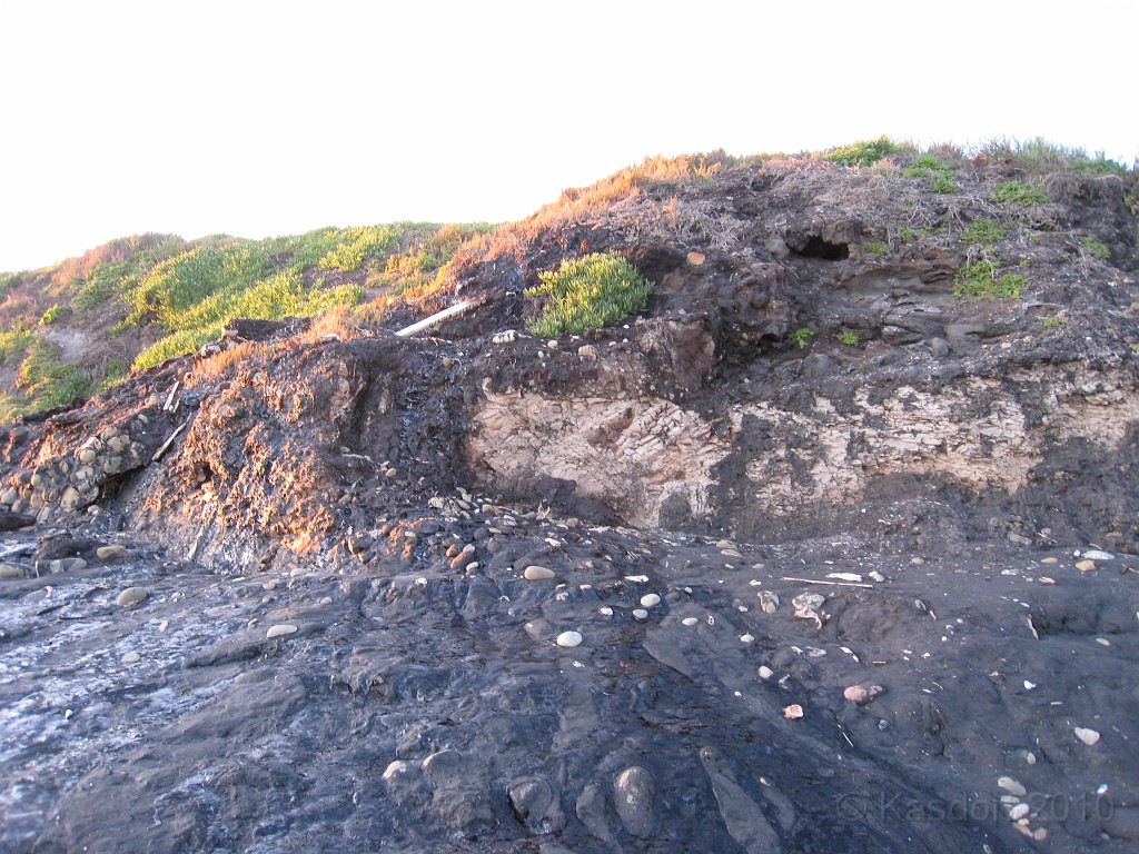 Carpinteria California 2010-02 0860.jpg - The Tar Pits, oozing black tar.